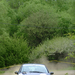 Miskolc Rally 2006    1