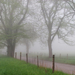 Cades Cove in Early Spring, Great Smoky Mountains, Tennessee