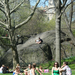 Central Park, April 2009