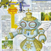 [large][AnimePaper]scans Digimon taroza(0.67)  THISRES  124639