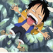 luffy234567