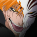 bleach 015