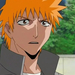 bleach ichigo0014