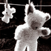 u-dresing-teddy-bear-drying