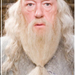 dumbledore [idoksoran] (4)