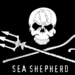 whale wars sea shepherd.png