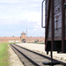 2011 Dombóvár-Auschwitz 148 másolata