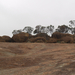 Wave Rock 088