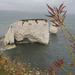 Old Harry-Swanage-61