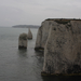 Old Harry-Swanage-67
