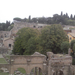 Forum Romanum