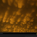 mammatus-clouds-748990-sw (Medium)