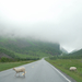 2011-07-04geiranger-1-2