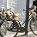 Esküvői bicigli