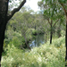 Canning River