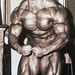 Arnold 045