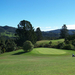 Waitakere golf club 045