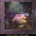 FairyLand-LisaMurphy