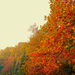 Az ősz színei