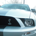 Mustang Shelby Clone