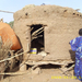 13-Kiffa-KoreraKore-Mali falu tipikus haz