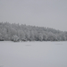 Malomvölgyi tó 063