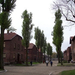 Auschwitz 2007