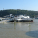 Árad a Duna