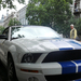 Shelby Mustang GT 500 Convertible