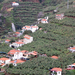 Madeira 2010 (288)