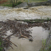 2008-06-27 Hirtelen áradás a Rábán
