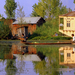 Srinagar: Dal lake