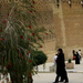 Shiraz ferde tornya resize