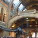 Natural History M inside (2)