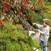 madeira2007 071