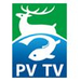 PV TV