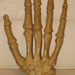Csontváz kéz
