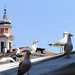 Venezia2011 009