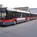 busz (28)