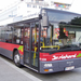 busz (33)