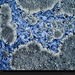 granite-lichens-399286-xl (Medium)