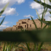 pueblo-building-grass-005pc08tad2cma057-xl (Medium)