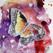 butterfly-painting