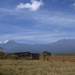 Kenya Amboseli7681 (146)