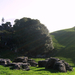 Album - Trip - Day 13 - Waitomo Caves