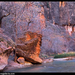 zion0765