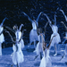 Artists of The Australian Ballet in Swan Lake photo Jim McFarlan