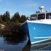 blue-hull-boat-maine-sw (Medium)