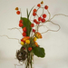 Chinese-lantern-curly willow (Medium)