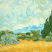 van-goghs-cypress-and-wheatfield-frank-wuts (Medium)